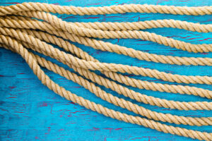 strands of the reading rope