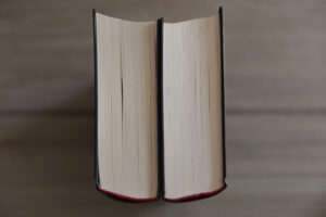 Word recognition and language comprehension