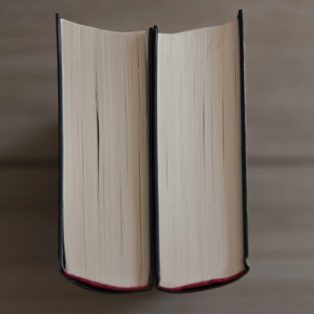 Word recognition and language comprehension