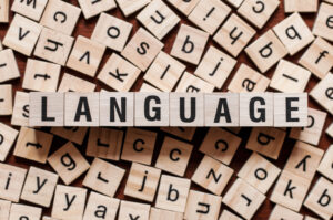 What is language comprehension?