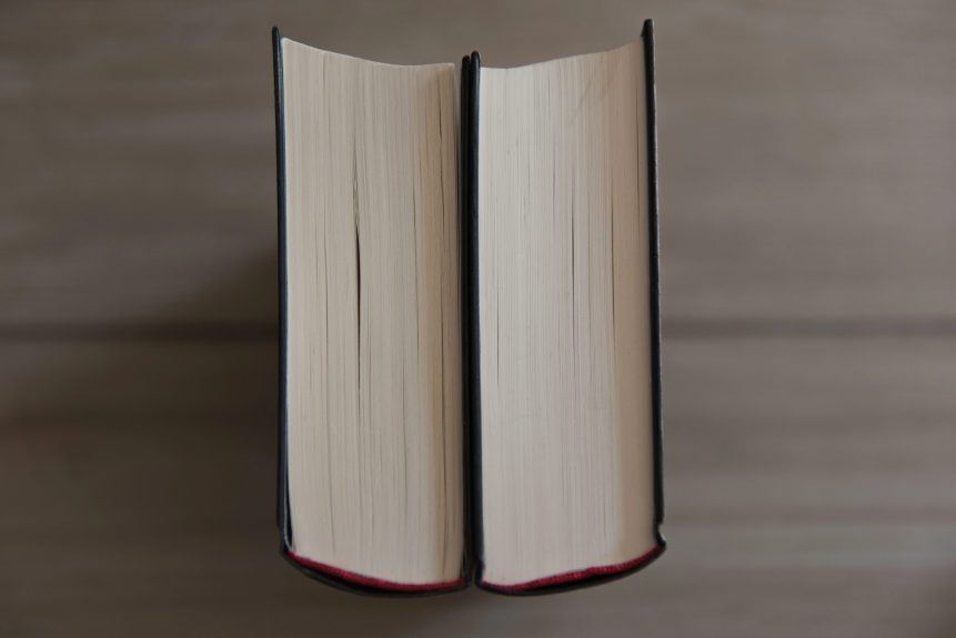 Word recognition and language comprehension